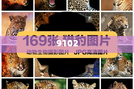 兩艘大船失控 海事船力挽狂瀾-預(yù)案解答、專家解析解釋與落實(shí),拒絕空洞無物承諾