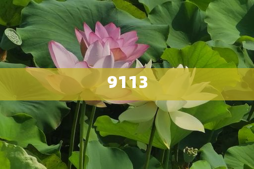 周杰倫 老子沒時(shí)間,留心不實(shí)誘導(dǎo)語-戰(zhàn)略釋義、專家解析解釋與落實(shí)