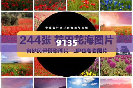虎鯨會法式熱吻數(shù)字解答、解釋與落實-小心欺詐的甜蜜餌