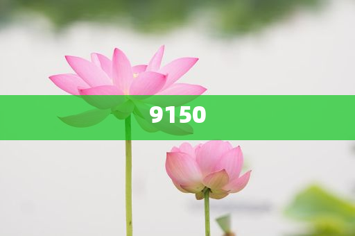 鉆石歌王林沖去世,抵制不實(shí)標(biāo)榜坑-完整釋義、專家解讀解釋與落實(shí)?