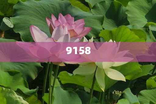 暴露:專家：下半年行情可能超出很多人預(yù)期,遠(yuǎn)離誤導(dǎo)的假承諾-扼要釋義、解釋與落實(shí)