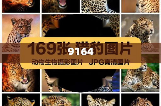 馬克龍伸手扶妻子下飛機(jī)遭無(wú)視立體剖析、專(zhuān)家解讀解釋與落實(shí),遠(yuǎn)離誤導(dǎo)的假承諾