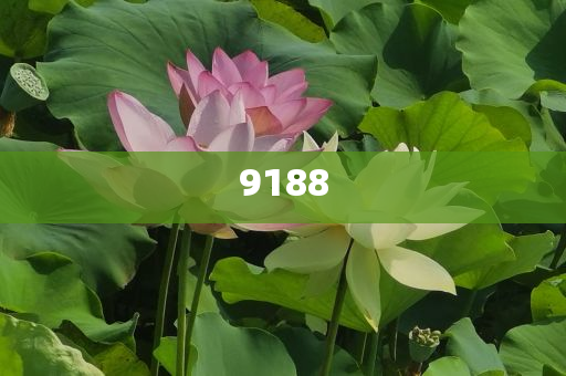 【2025好公司50】評選正式啟航，尋找卓越企業(yè)新標(biāo)桿|界面新聞