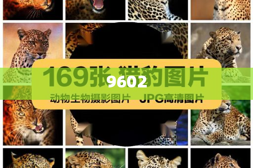 威海被生母毆打致死的5歲男童已入土明晰解答、專家解讀解釋與落實(shí)?,抵制欺騙承諾套路