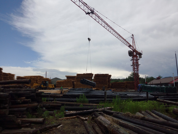 防腐油木桿、防腐油炸桿1