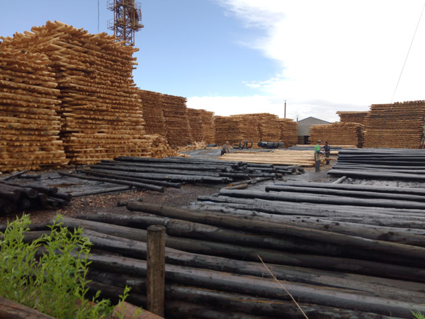 防腐油木桿、防腐油炸桿6