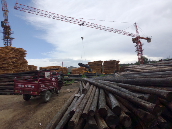 防腐油木桿、防腐油炸桿8