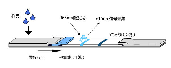 時間分辨熒光技術(shù)原理