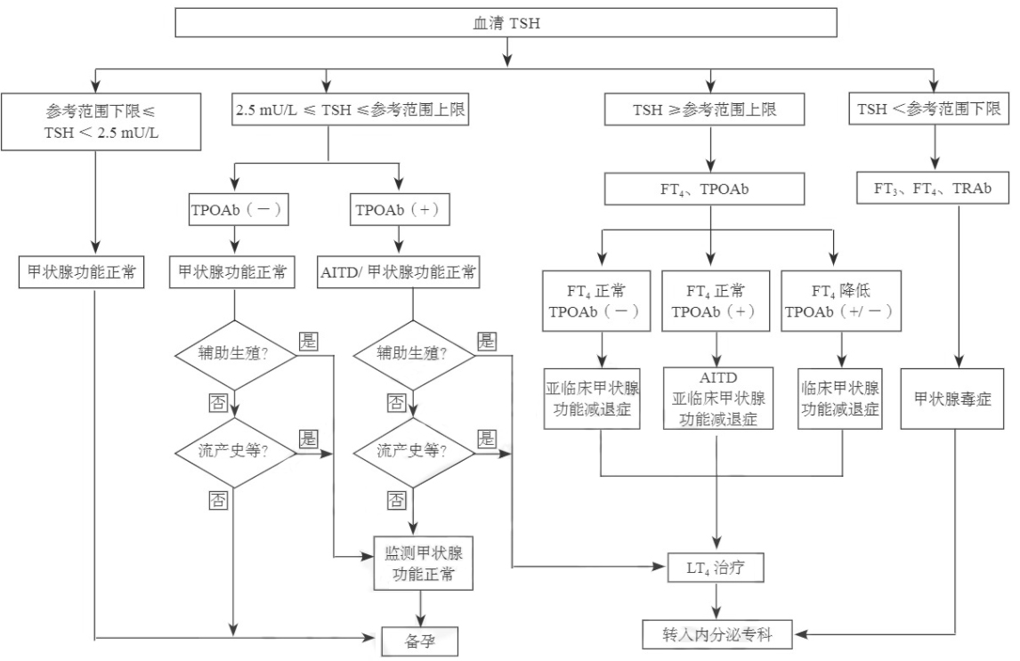 孕前血清TSH篩查、診斷和管理流程
