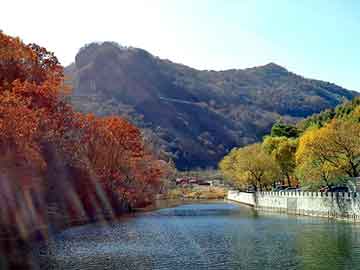 新澳门免费精准龙门客栈管家婆:巩固解答、解释与落实,防范欺诈的假幌子电
