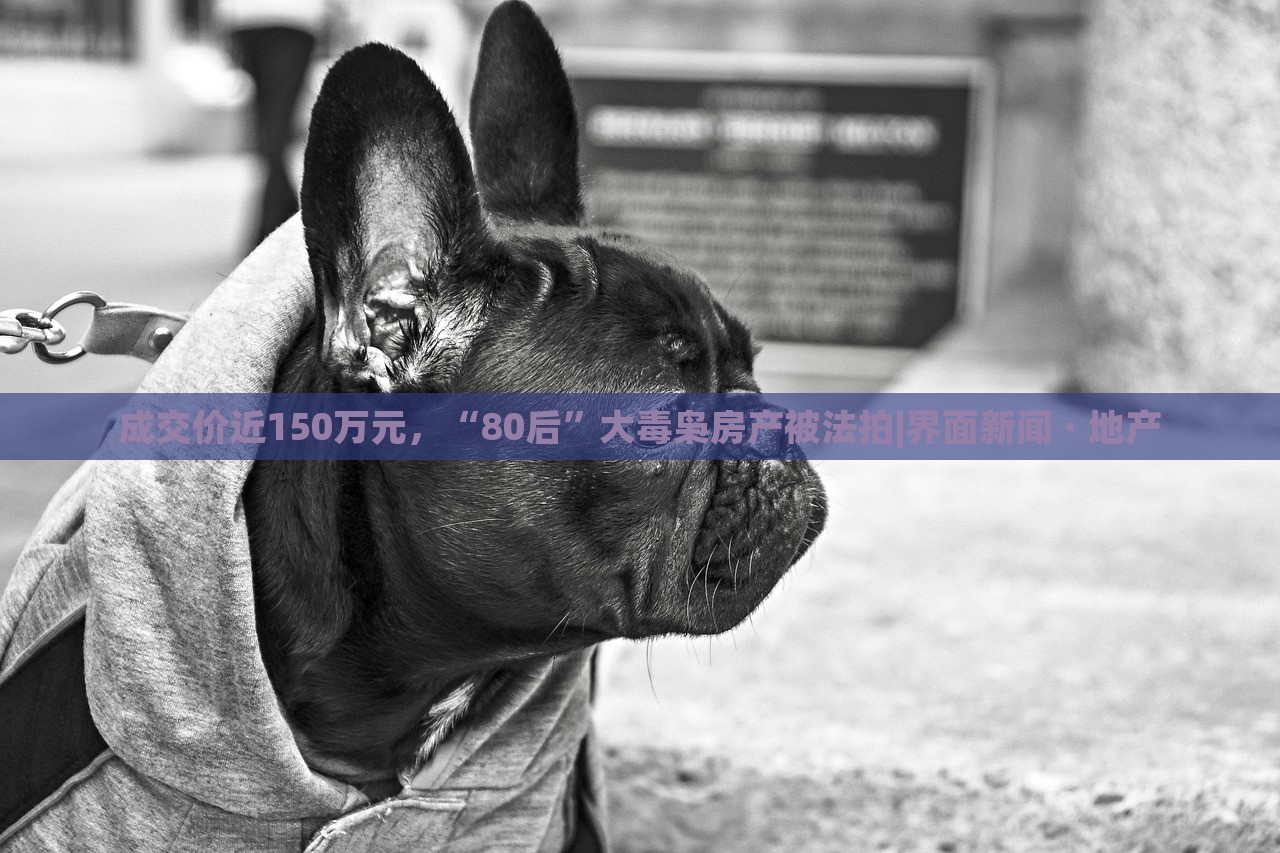 成交价近150万元，“80后”大毒枭房产被法拍|界面新闻 · 地产