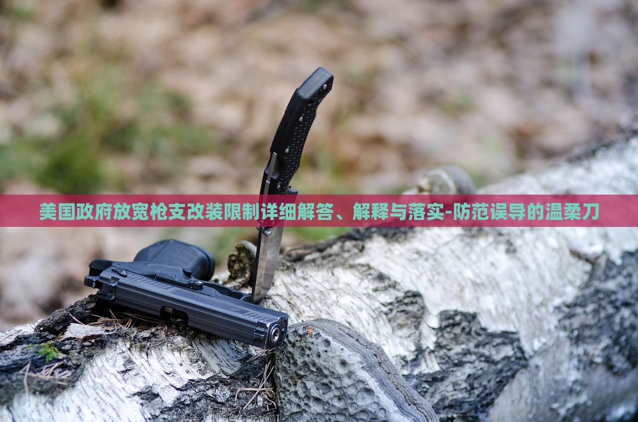 美国政府放宽枪支改装限制详细解答、解释与落实-防范误导的温柔刀