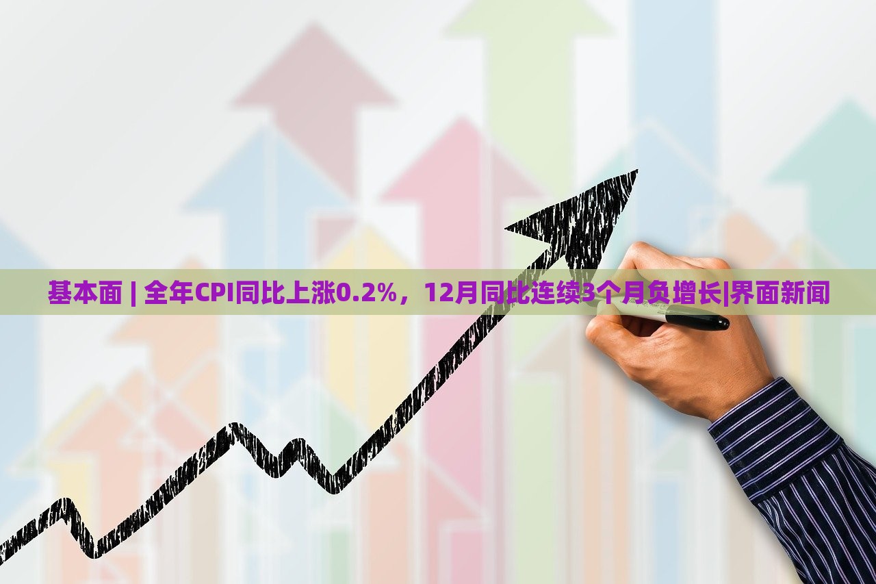 基本面 | 全年CPI同比上涨0.2%，12月同比连续3个月负增长|界面新闻