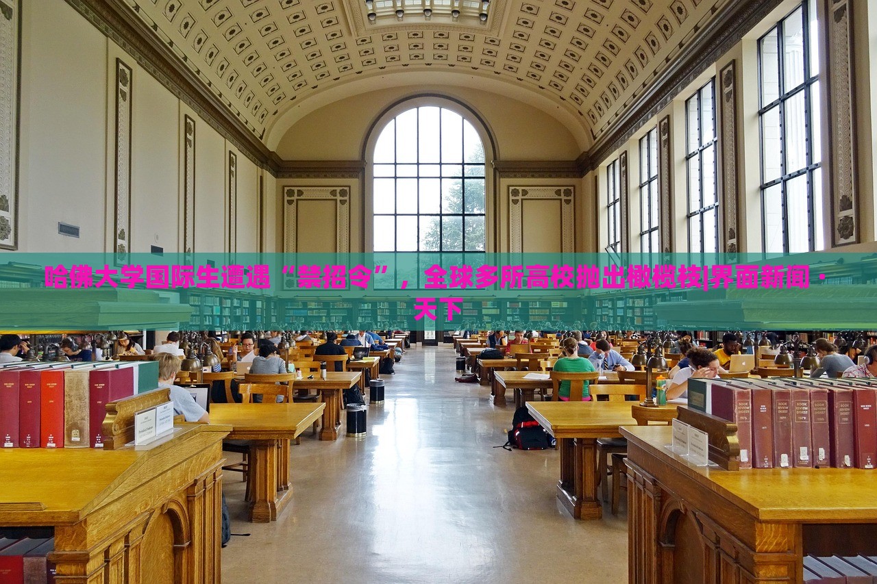哈佛大学国际生遭遇“禁招令”，全球多所高校抛出橄榄枝|界面新闻 · 天下