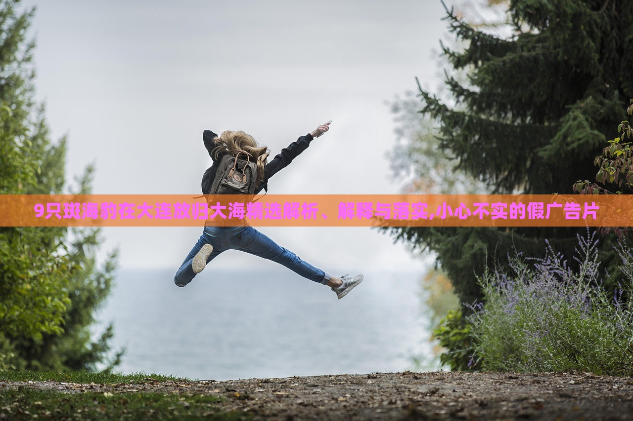 9只斑海豹在大连放归大海精选解析、解释与落实,小心不实的假广告片
