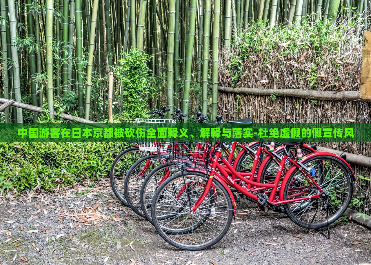 中国游客在日本京都被砍伤全面释义、解释与落实-杜绝虚假的假宣传风