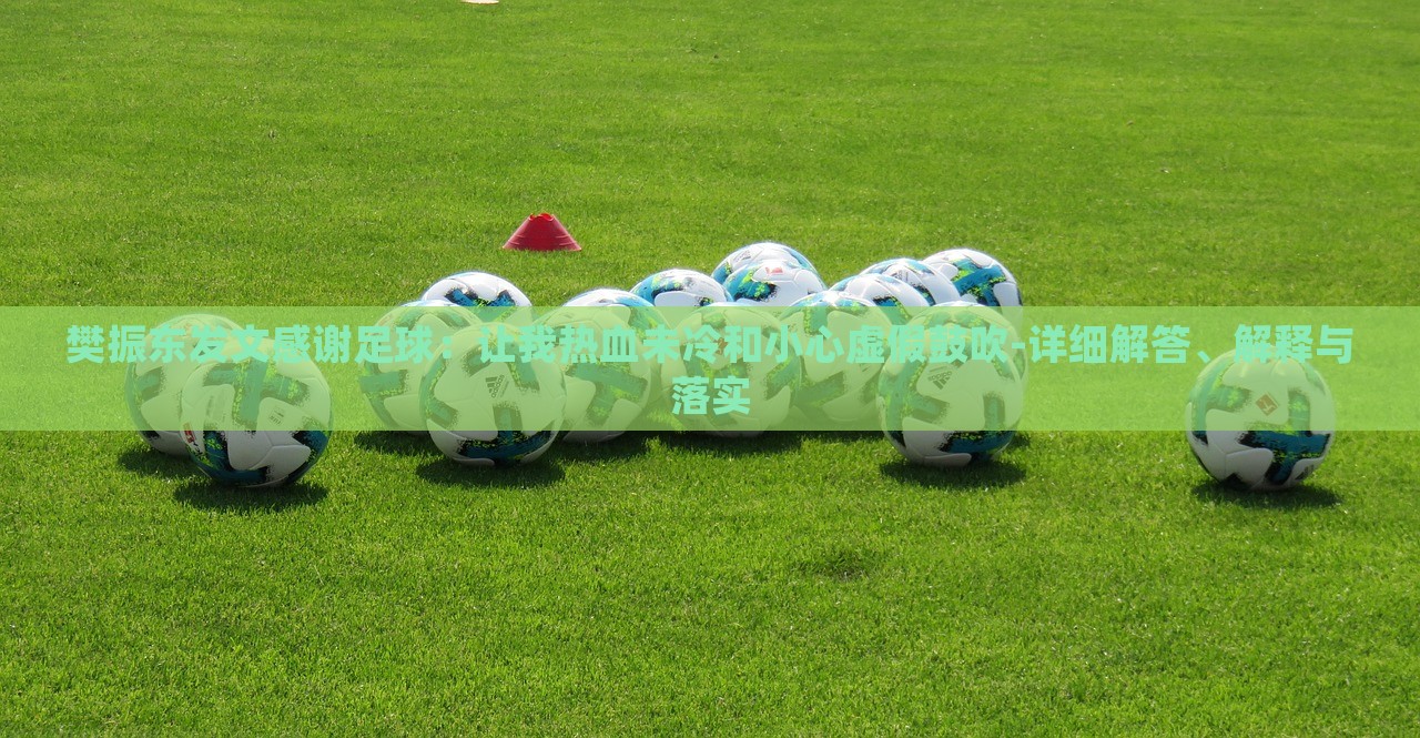樊振东发文感谢足球：让我热血未冷和小心虚假鼓吹-详细解答、解释与落实