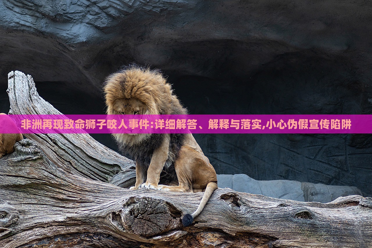 非洲再现致命狮子咬人事件:详细解答、解释与落实,小心伪假宣传陷阱