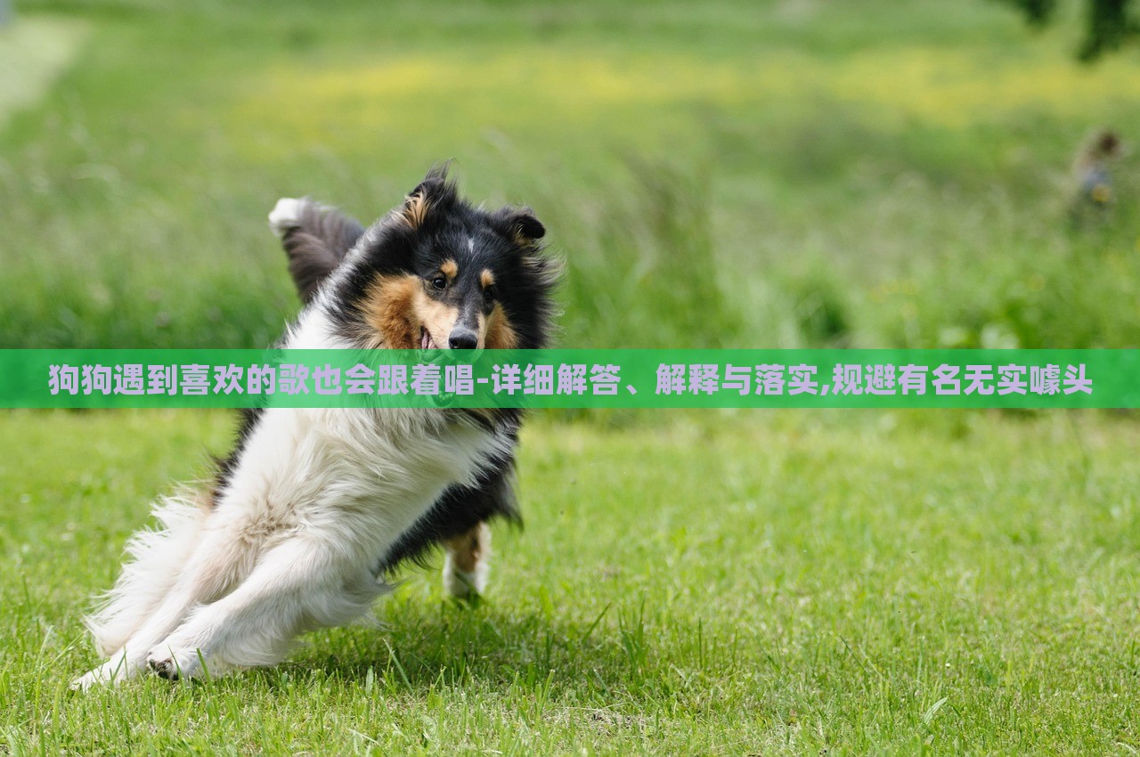 狗狗遇到喜欢的歌也会跟着唱-详细解答、解释与落实,规避有名无实噱头