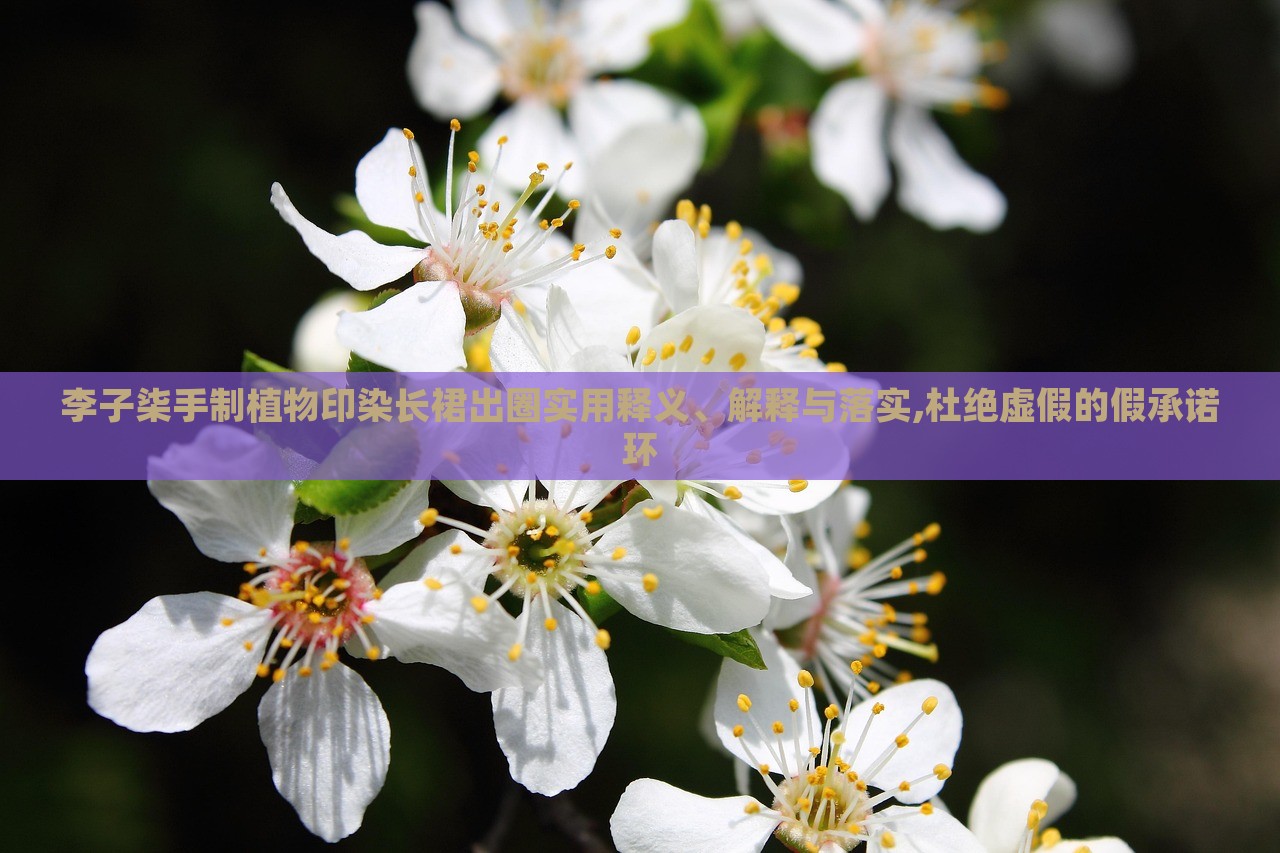 李子柒手制植物印染长裙出圈实用释义、解释与落实,杜绝虚假的假承诺环