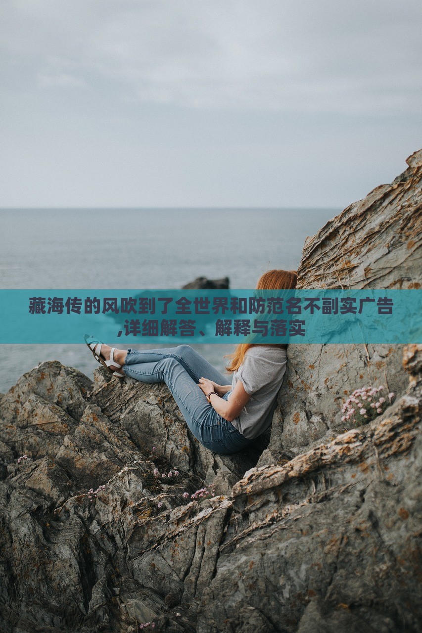 藏海传的风吹到了全世界和防范名不副实广告,详细解答、解释与落实