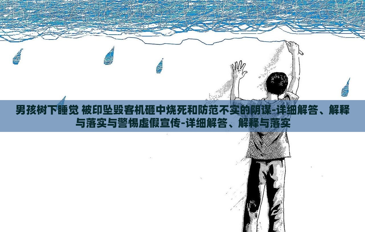 男孩树下睡觉 被印坠毁客机砸中烧死和防范不实的阴谋-详细解答、解释与落实与警惕虚假宣传-详细解答、解释与落实
