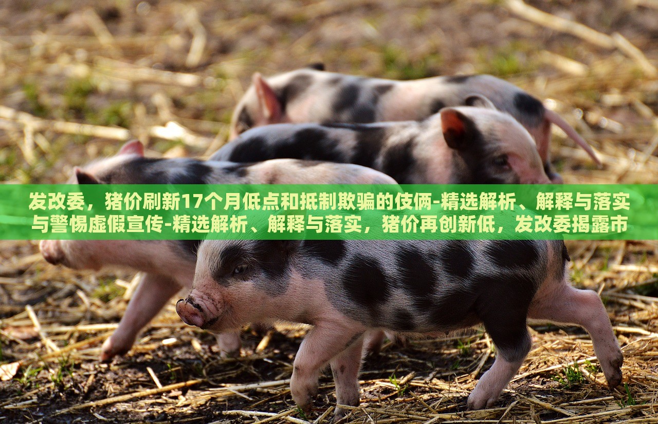 发改委，猪价刷新17个月低点和抵制欺骗的伎俩-精选解析、解释与落实与警惕虚假宣传-精选解析、解释与落实，猪价再创新低，发改委揭露市场伎俩与虚假宣传风险解析