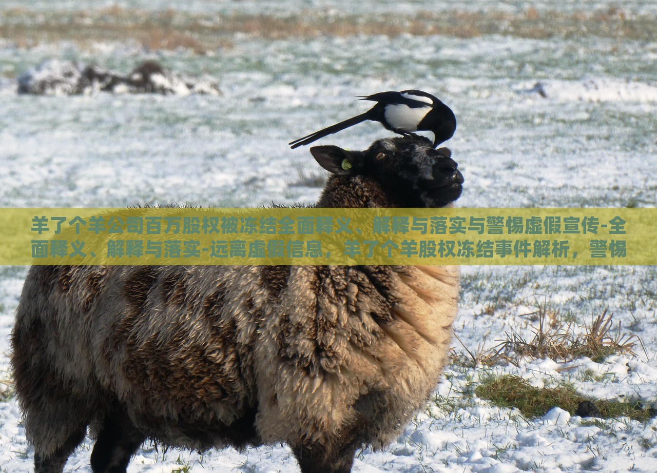 羊了个羊公司百万股权被冻结全面释义、解释与落实与警惕虚假宣传-全面释义、解释与落实-远离虚假信息，羊了个羊股权冻结事件解析，警惕虚假宣传风险