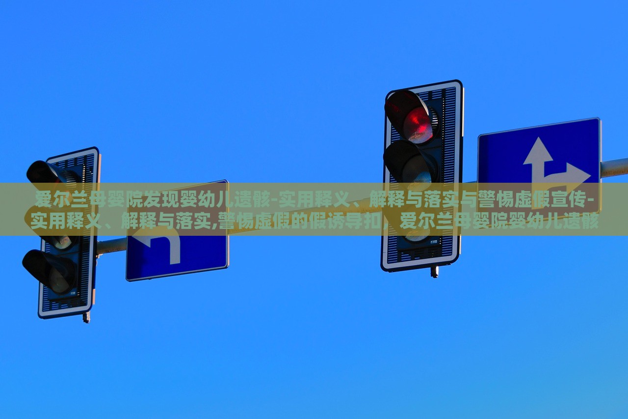 爱尔兰母婴院发现婴幼儿遗骸-实用释义、解释与落实与警惕虚假宣传-实用释义、解释与落实,警惕虚假的假诱导扣，爱尔兰母婴院婴幼儿遗骸事件，真相揭秘与虚假宣传警示