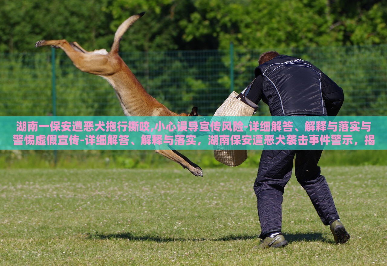 湖南一保安遭恶犬拖行撕咬,小心误导宣传风险-详细解答、解释与落实与警惕虚假宣传-详细解答、解释与落实，湖南保安遭恶犬袭击事件警示，揭秘虚假宣传风险与应对策略