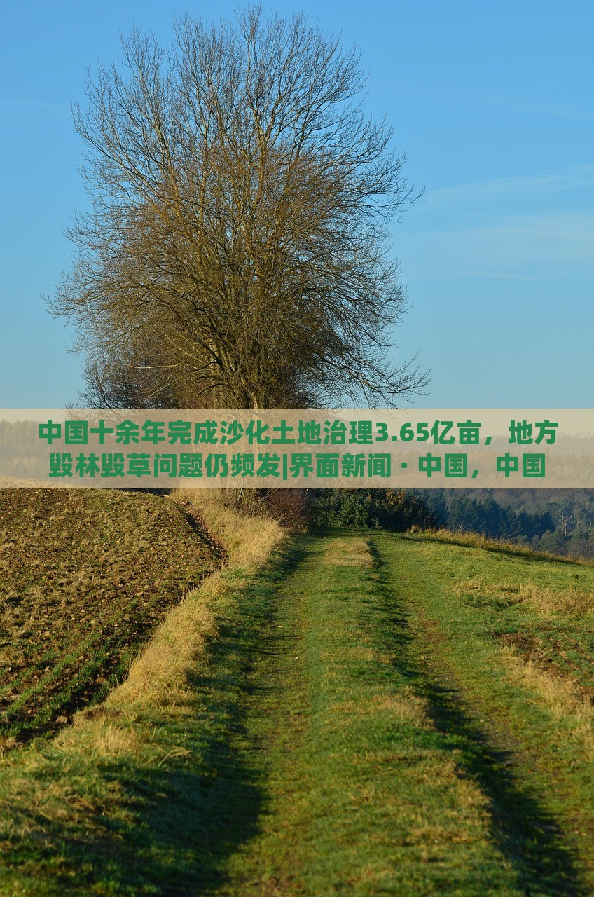 中国十余年完成沙化土地治理3.65亿亩，地方毁林毁草问题仍频发|界面新闻 · 中国，中国沙化土地治理成就显著，地方毁林毁草问题待解