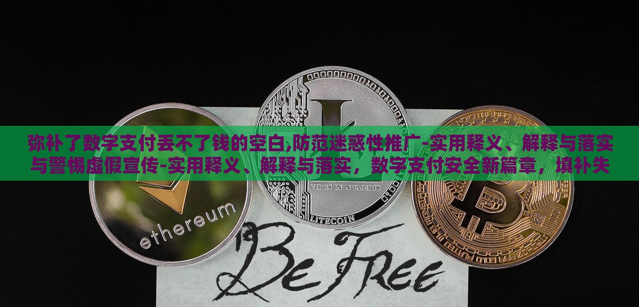 弥补了数字支付丢不了钱的空白,防范迷惑性推广-实用释义、解释与落实与警惕虚假宣传-实用释义、解释与落实，数字支付安全新篇章，填补失财空白，抵制虚假宣传