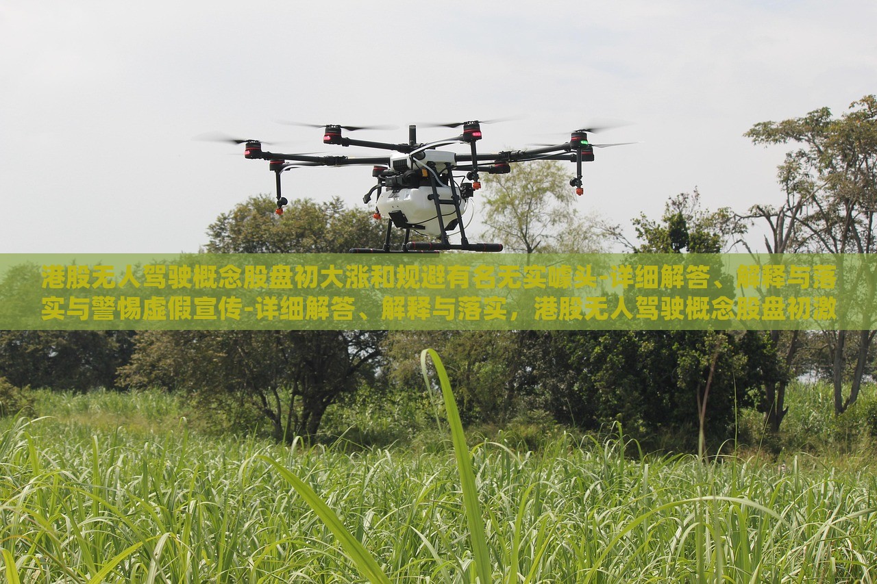 港股无人驾驶概念股盘初大涨和规避有名无实噱头-详细解答、解释与落实与警惕虚假宣传-详细解答、解释与落实，港股无人驾驶概念股盘初激增，揭秘涨势背后的真相与风险警示